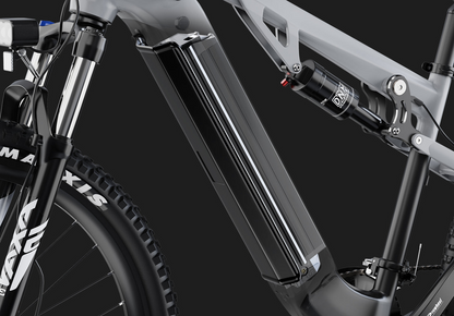 DUOTTS E29 Electric Bike