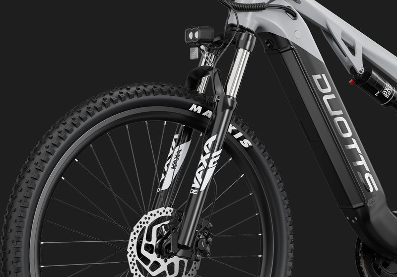 DUOTTS E29 Electric Bike