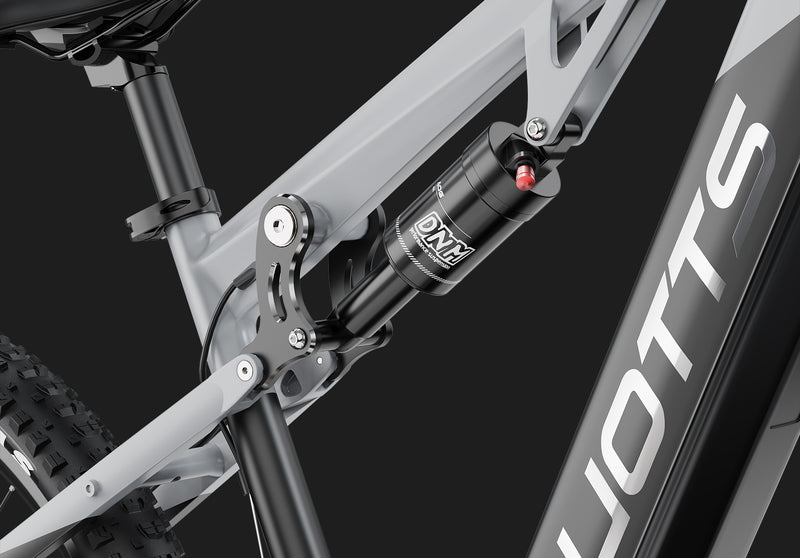 DUOTTS E29 Electric Bike