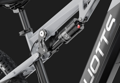 DUOTTS E29 Electric Bike