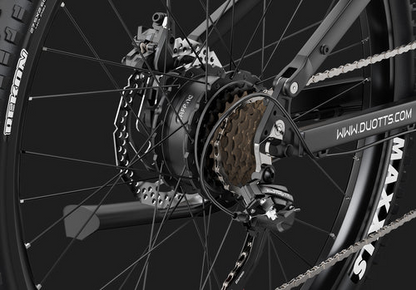DUOTTS E29 Electric Bike