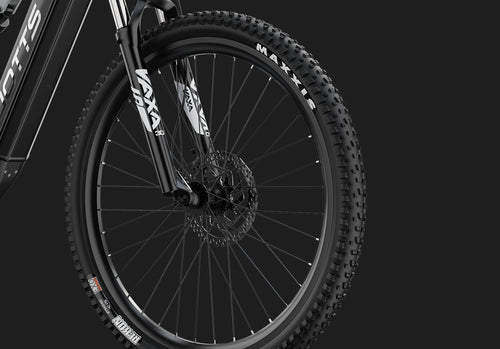 DUOTTS E29 Electric Bike