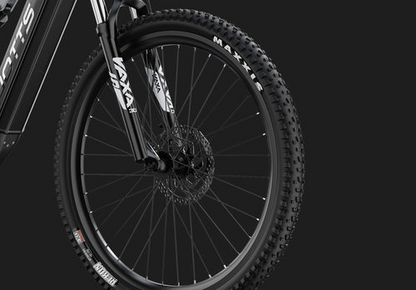 DUOTTS E29 Electric Bike