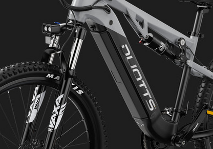 DUOTTS E29 Electric Bike