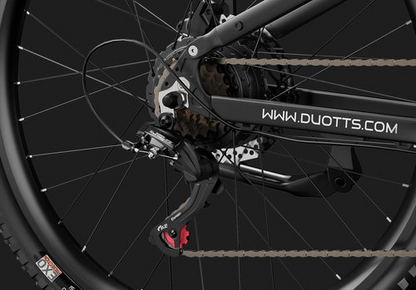 DUOTTS E29 Electric Bike