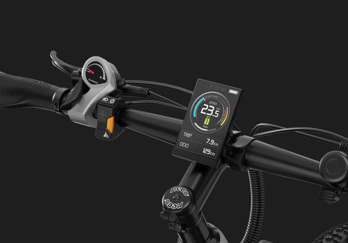 DUOTTS E29 Electric Bike