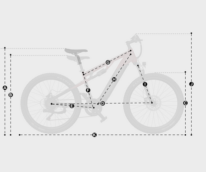 DUOTTS E29 Electric Bike