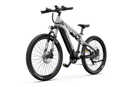 DUOTTS E29 Electric Bike