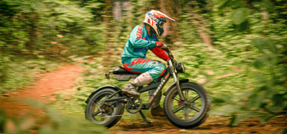 DUOTTS F20 Electric Bike