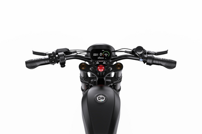 DUOTTS F20 Electric Bike