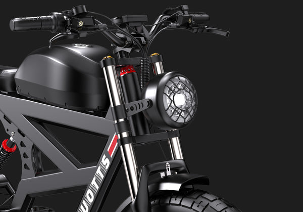 DUOTTS F20 Electric Bike