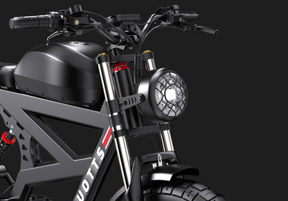 DUOTTS F20 Electric Bike