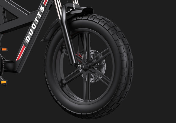 DUOTTS F20 Electric Bike
