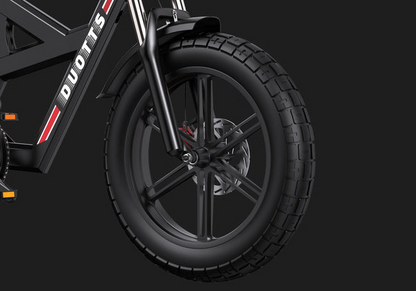 DUOTTS F20 Electric Bike