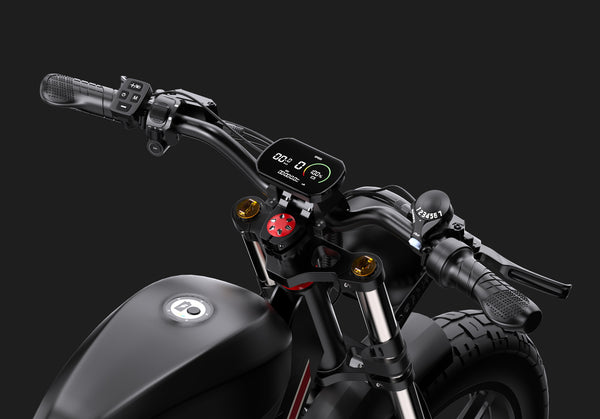 DUOTTS F20 Electric Bike