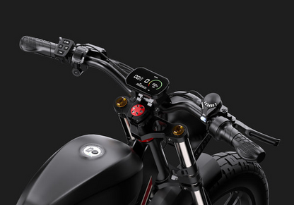 DUOTTS F20 Electric Bike