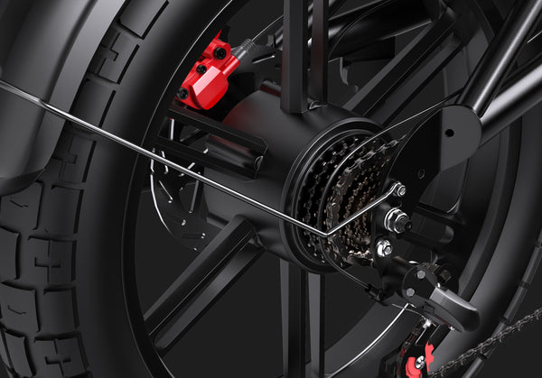 DUOTTS F20 Electric Bike