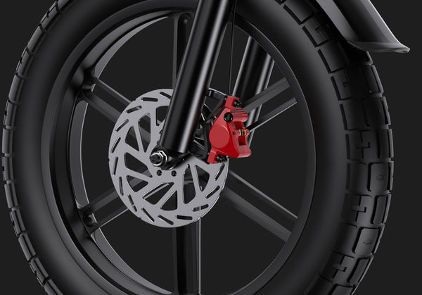 DUOTTS F20 Electric Bike