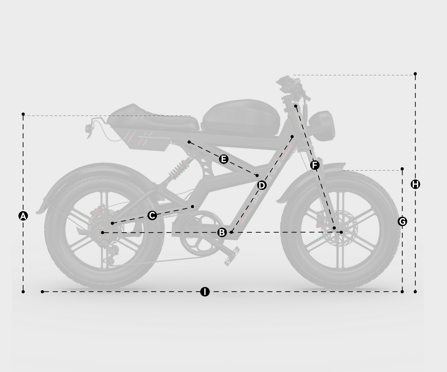 DUOTTS F20 Electric Bike