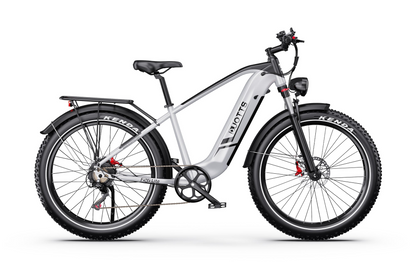 DUOTTS F26 Lite Electric Bike