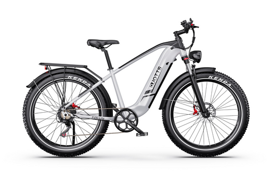 DUOTTS F26 Lite Electric Bike