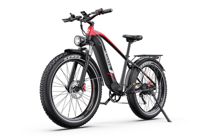 DUOTTS F26 Lite Electric Bike
