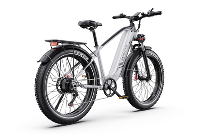 DUOTTS F26 Lite Electric Bike