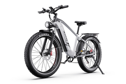 DUOTTS F26 Lite Electric Bike
