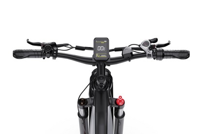 DUOTTS F26 Lite Electric Bike