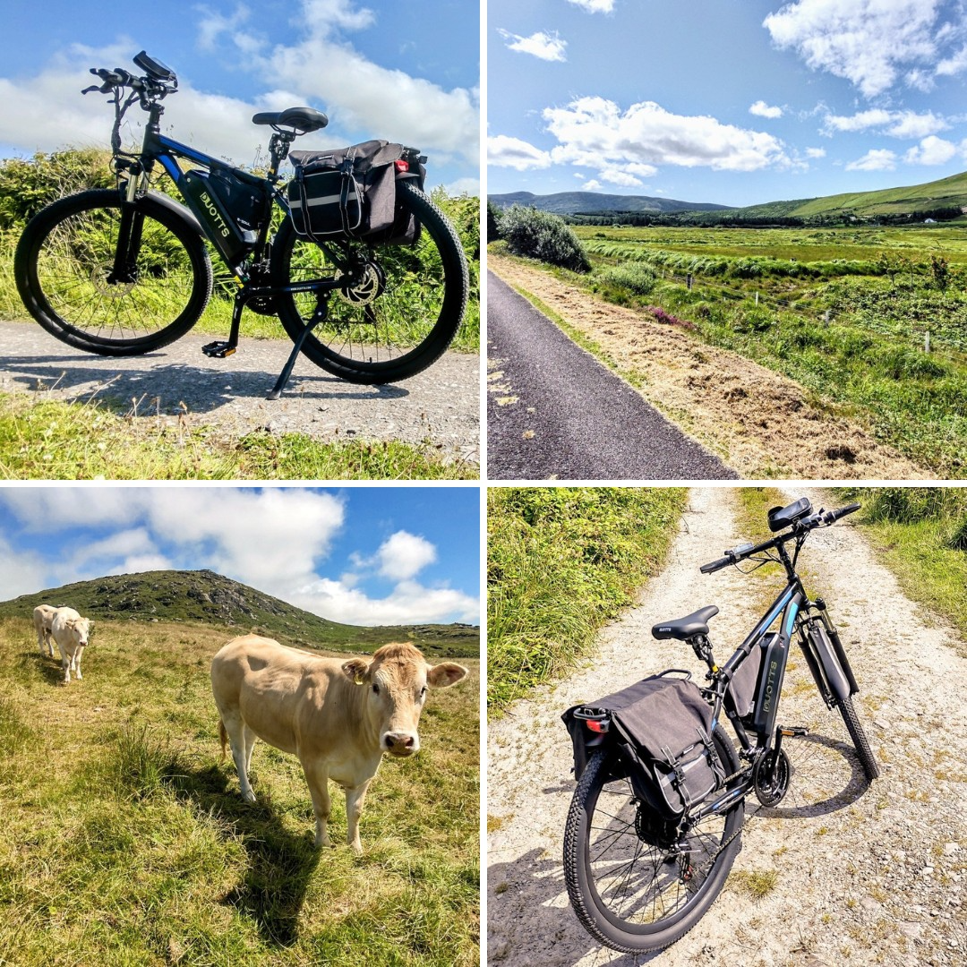 DUOTTS C29 Electric Bike