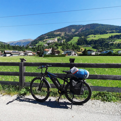 DUOTTS C29 Electric Bike