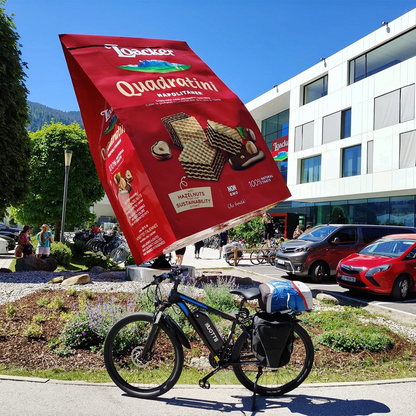 DUOTTS C29 Electric Bike