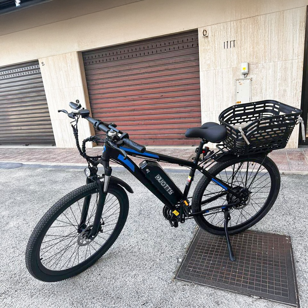 DUOTTS C29 Electric Bike
