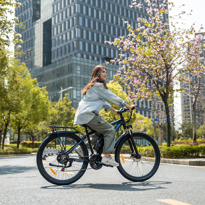 DUOTTS C29 Electric Bike