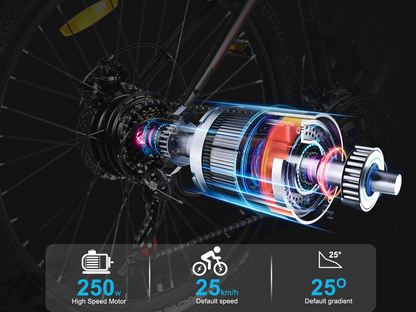 EBE2 Mountain Ebike With Torque-Sensor