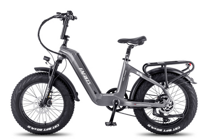 Fafrees F20 Master E-bike