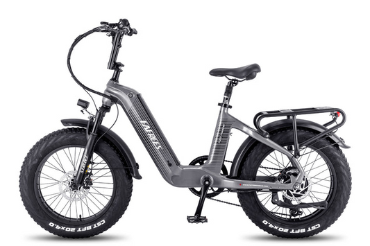 Fafrees F20 Master E-bike