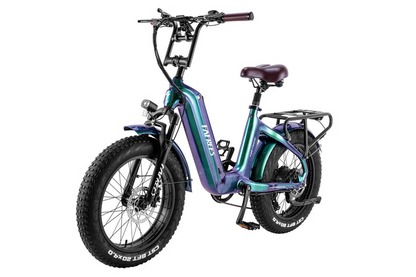 Fafrees F20 Master E-bike