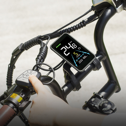 Fafrees F20 Master E-bike