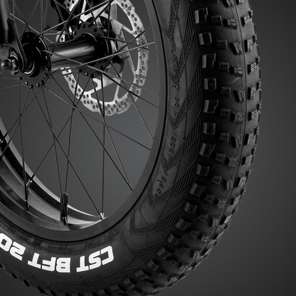 Fafrees F20 Master E-bike