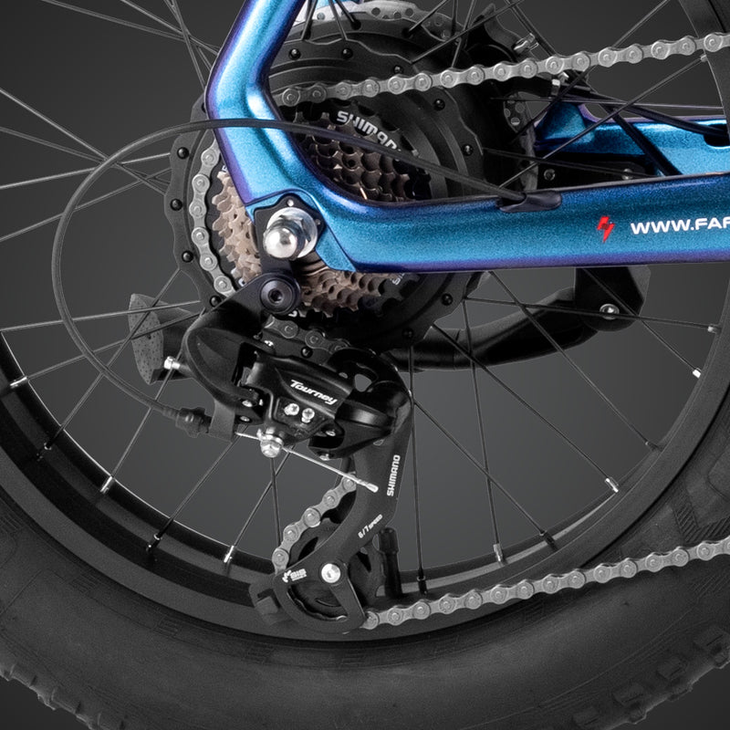 Fafrees F20 Master E-bike