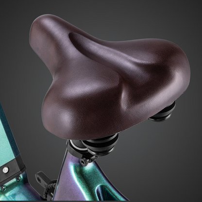 Fafrees F20 Master E-bike