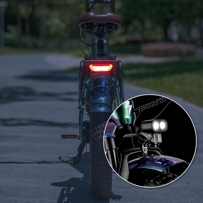 Fafrees F20 Master E-bike