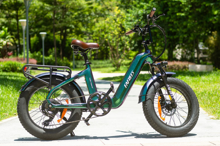 Fafrees F20 Master E-bike