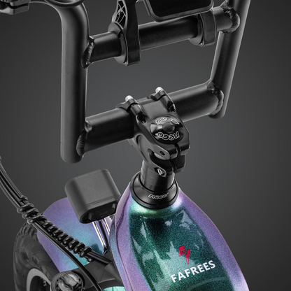 Fafrees F20 Master E-bike