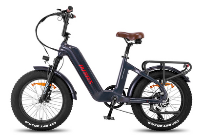Fafrees F20 Master E-bike