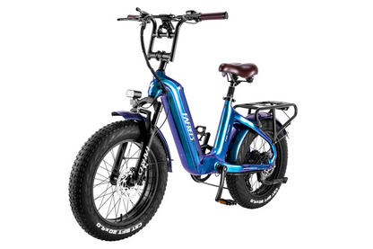Fafrees F20 Master E-bike