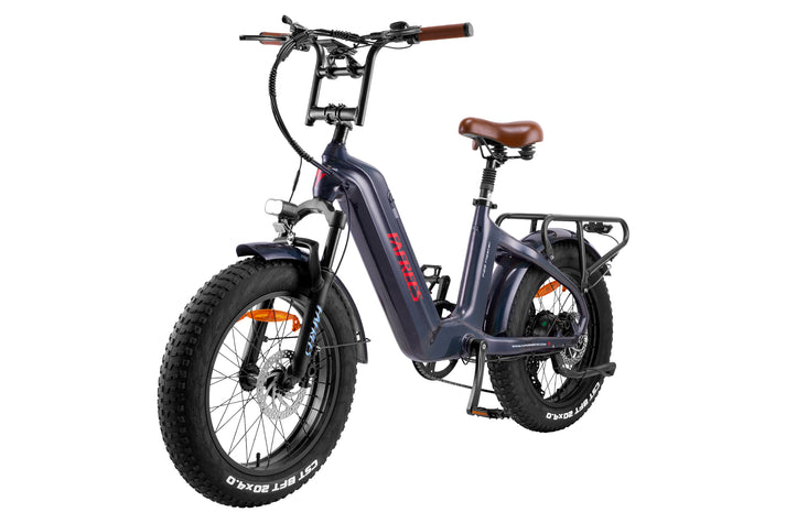 Fafrees F20 Master E-bike