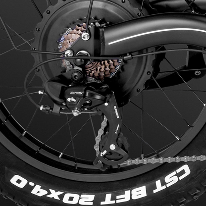 Fafrees F20 X-Max E-Bike