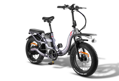 Fafrees F20 X-Max E-Bike